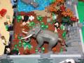 72-Zoo-Elephant And Ostriches